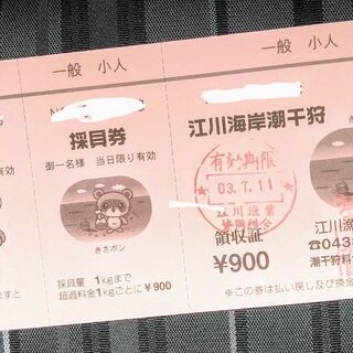 お買い得価格!江川海岸潮干狩りチケットの画像