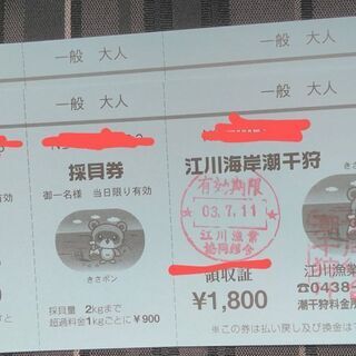 お買い得価格!江川海岸潮干狩りチケット