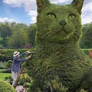 世にも奇妙な物語