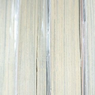 恋がヘタでも生きてます 「１～４」全巻の画像