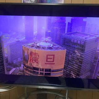 テレビ。早い者勝ちです。の画像