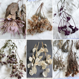 くろまめ様　の画像