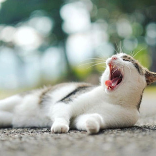 📷カメラ友達募集！☀️ − 神奈川県