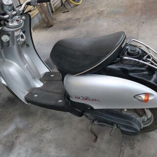 2スト　ビーノ　上物が入荷しましたの画像