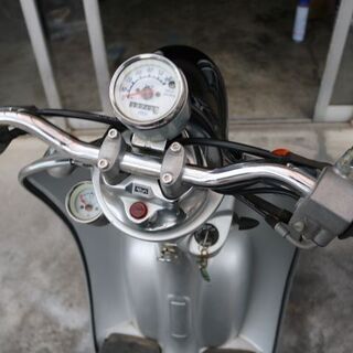 2スト　ビーノ　上物が入荷しましたの画像
