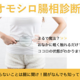 副業に！たったオンライン4時間で資格取得！オモシロ腸相診断インス...