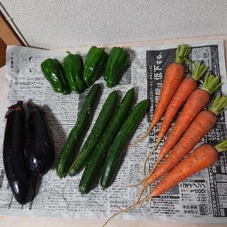 《取引中》特別価格 有機栽培　野菜4種類 390円 