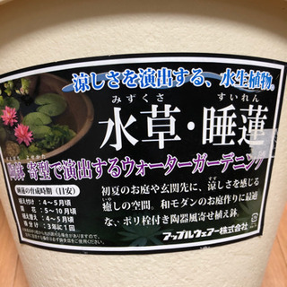 新品　未使用　睡蓮鉢　メダカ飼育にも