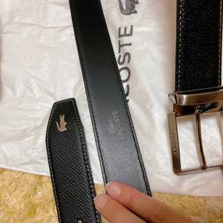 ベルト(ラコステ)新品の画像