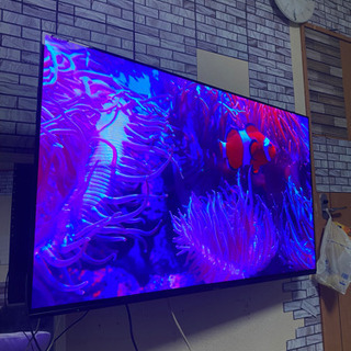 「viera☆Panasonic」TH-55型HZ1000☆4k...