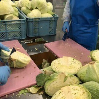 《オープニング》大手食品工場で働こう！しっかり稼げる夜勤◎車通勤...