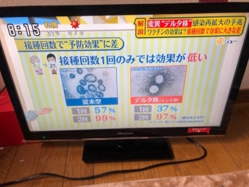 hisense 24型　TV