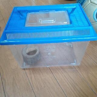 外遊び　色々の画像