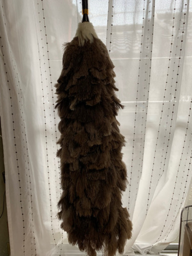 ダチョウの毛叩き