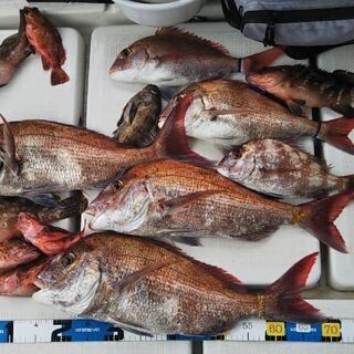 岡山の安価な釣船「遊漁船 釣太郎」タイラバ  ジギング など 児...