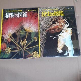 ★昆虫、植物図鑑‼️★他にも多数出品中‼️