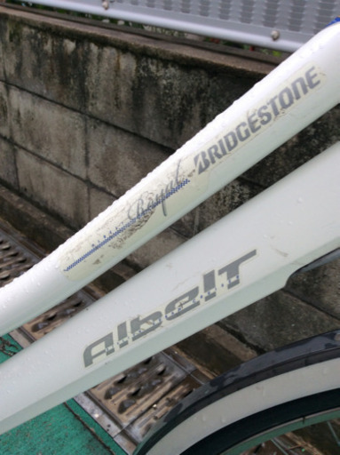 ホワイトカラー アルベルト‼️