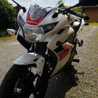 CBR125低走行美車❗️