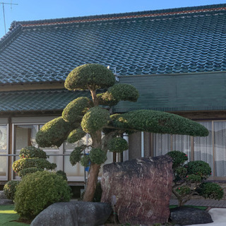 お庭のお手入れ、お困りごとなど