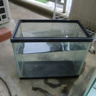 水槽グッズの画像