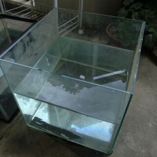 水槽グッズの画像