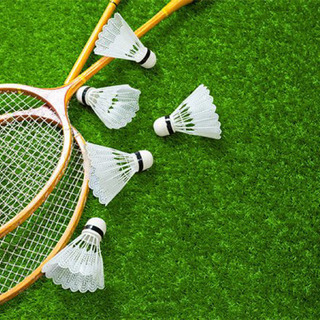 8/15  バドミントン🏸やりましょう✨in太田