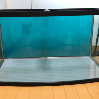 90cmガラス水槽 黒枠 90cmガラス水槽