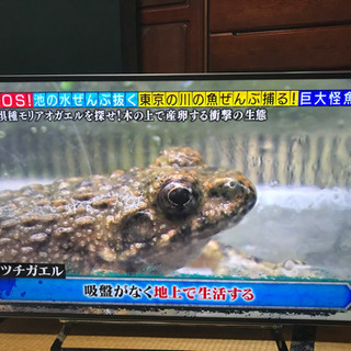 東芝　50Z10X  50型液晶テレビ