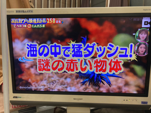 32型テレビ　AQUOS 値段交渉可能