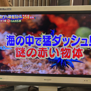 32型テレビ　AQUOS 値段交渉可能