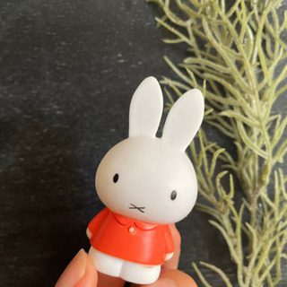 miffy（ミッフィ）好きな方、友達なりましょう🧡
