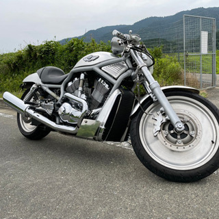交換可能❗️ハーレー　V-ROD 2003年型　車検九月までの画像
