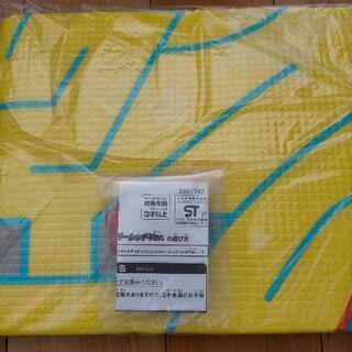 レジャーシート