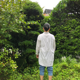 イヌマキ 植木の画像
