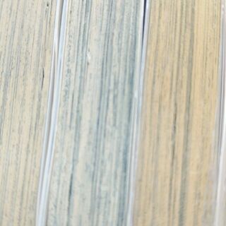 姉の結婚「１～８」全巻の画像