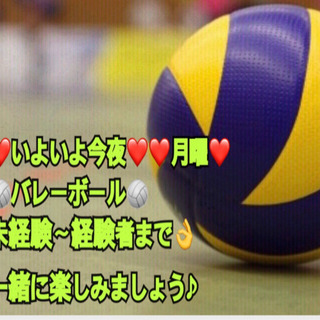 ⭐️いよいよ今夜⭐️ 【急募❣️】一緒に🏐やりたい方