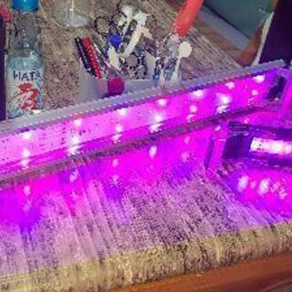 水槽のLEDライト