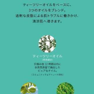 値下げしました‼️THE BODY SHOP ✳TeaTree✳ほぼ新品✧*。の画像