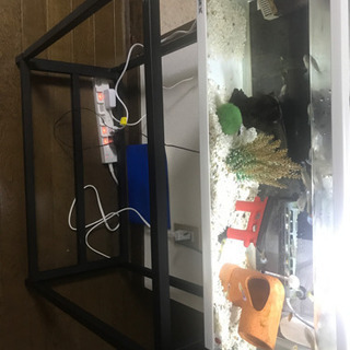 グッピー 水槽 エアポンプ ヒーター全てセットですの画像