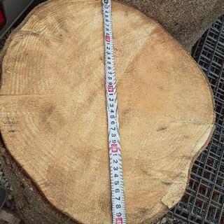 薪用・丸太の画像