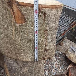 薪用・丸太の画像