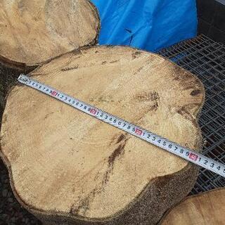 薪用・丸太の画像