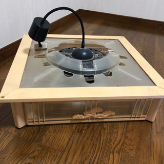 照明　和室等の画像