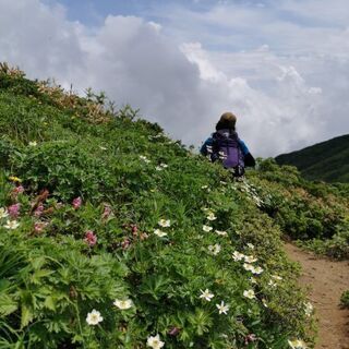 ゆる山トレッキング - スポーツ