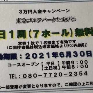 ゴルフ7ホールコース券の画像