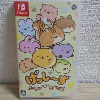 決定 Switchソフト げっしーず