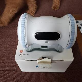 ペットフィットネス(専用ロボット)