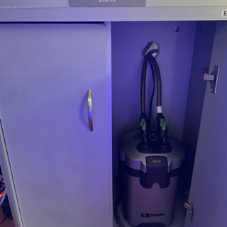 海水魚水槽一式（生態含む）の画像