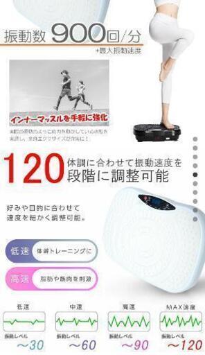 【受渡し予定者決定済】フィットネス振動マシーン