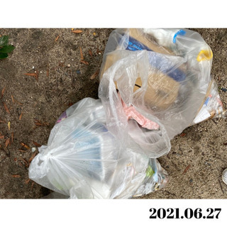【7月25日(日)第13回地球防衛軍🌏】広島市内をキレイに！！ - メンバー募集
